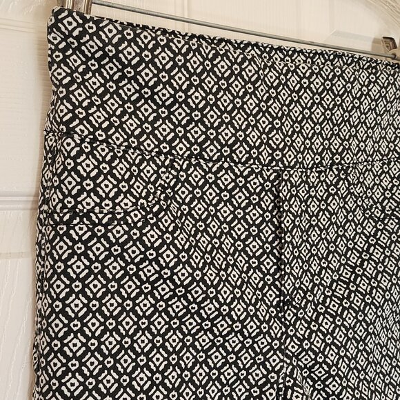 LIOR PARIS Signature Power Stretch Printed Jane Skinny Pants - Picture 2 of 7